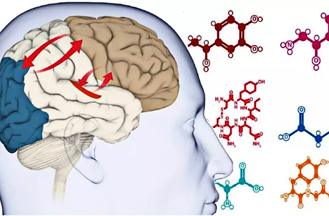 神经递质,影响情绪,多巴胺：你知道吗？这些神经递质在影响着你的情绪！